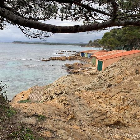 T2 Climatise A L'Ile D'Or Avec Piscine Pres De La Plage La Londe-les-Maures Eksteriør bilde